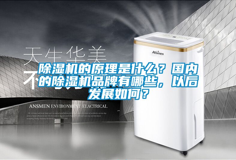 除濕機的原理是什么？國內的除濕機品牌有哪些，以后發(fā)展如何？