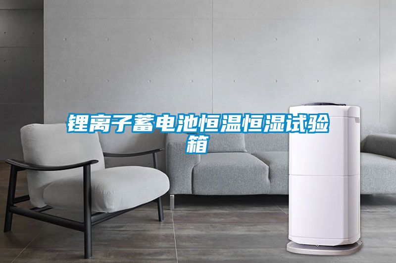 鋰離子蓄電池恒溫恒濕試驗(yàn)箱