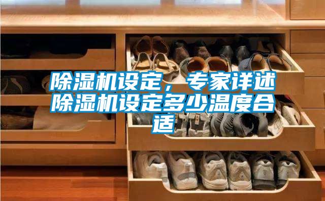 除濕機設定，專家詳述除濕機設定多少溫度合適