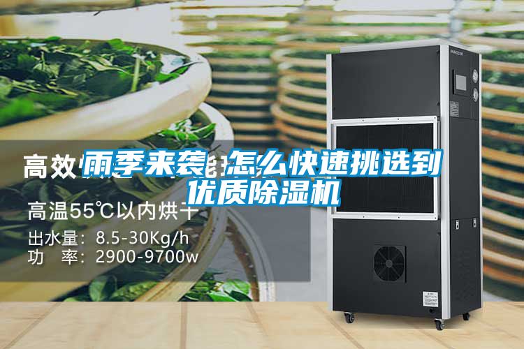 雨季來襲 怎么快速挑選到優(yōu)質除濕機