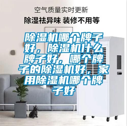 除濕機哪個牌子好，除濕機什么牌子好，哪個牌子的除濕機好，家用除濕機哪個牌子好