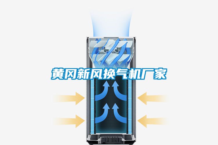 黃岡新風(fēng)換氣機廠家