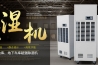 哪一種空氣凈化器更適合你？