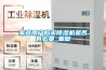 蕪湖GDW-800高低溫循環(huán)試驗箱免費送貨上門