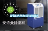 吸附式工業(yè)除濕機的特點以及使用_重復