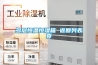 智能恒溫恒濕箱C型1000L