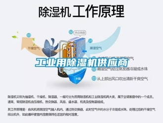 常見問題工業(yè)用除濕機供應商