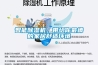 十大新風除濕一體機