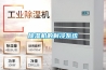 巴南區房間除濕機
