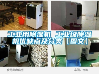 常見問題工業(yè)用除濕機 工業(yè)級除濕機優(yōu)缺點及分類【圖文】