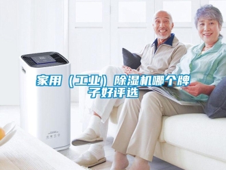 常見問題家用（工業(yè)）除濕機哪個牌子好評選