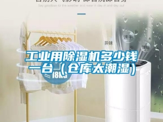 常見問題工業(yè)用除濕機多少錢一臺（倉庫太潮濕）