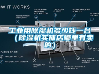 常見問題工業(yè)用除濕機多少錢一臺（除濕機實體店哪里有賣的）