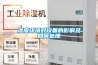 地下室除濕設(shè)備-地下室抽濕機(jī)供應(yīng)產(chǎn)品