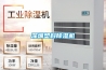 除濕機選購攻略：哪種除濕機更好用