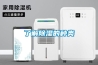 商業廣場如何引人注目？超聲波造霧機