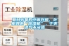 夏日必備的苧麻衣裙，衣服界的“除濕機”，干爽透氣不悶熱