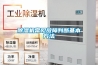 家用除濕機好用嗎？