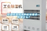 除濕機好用的品牌推薦哪些？