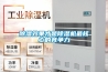 大型工業(yè)除濕機 新風(fēng)除濕機廠家