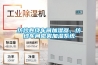 商場的除濕機、干衣機、抽濕機、除濕劑銷售同比增長一兩成