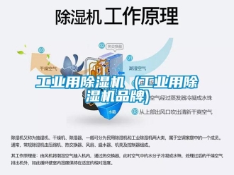 常見問題工業(yè)用除濕機 (工業(yè)用除濕機品牌)