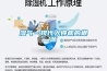 回南天來襲：家用除濕機最強挑選攻略