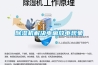 帶除濕功能的新風到底值不值得入？——一位西安客戶的自述